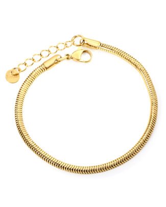 Classic Snake Chain Bracelet